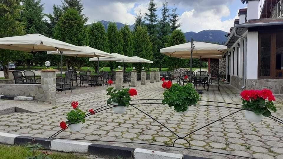 Hotel Cheia Cheia  Extérieur photo